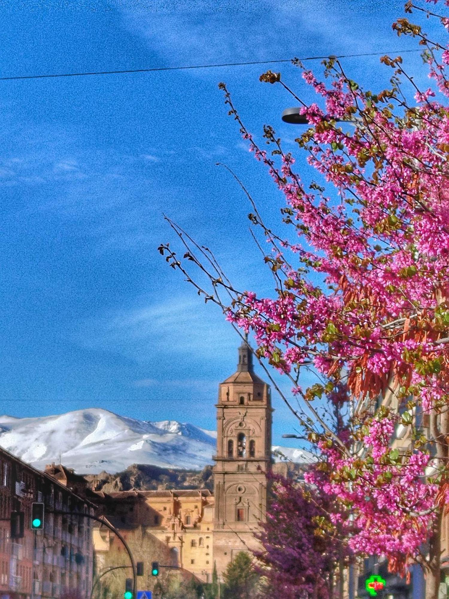 Cueva La Loli Villa Guadix Bagian luar foto