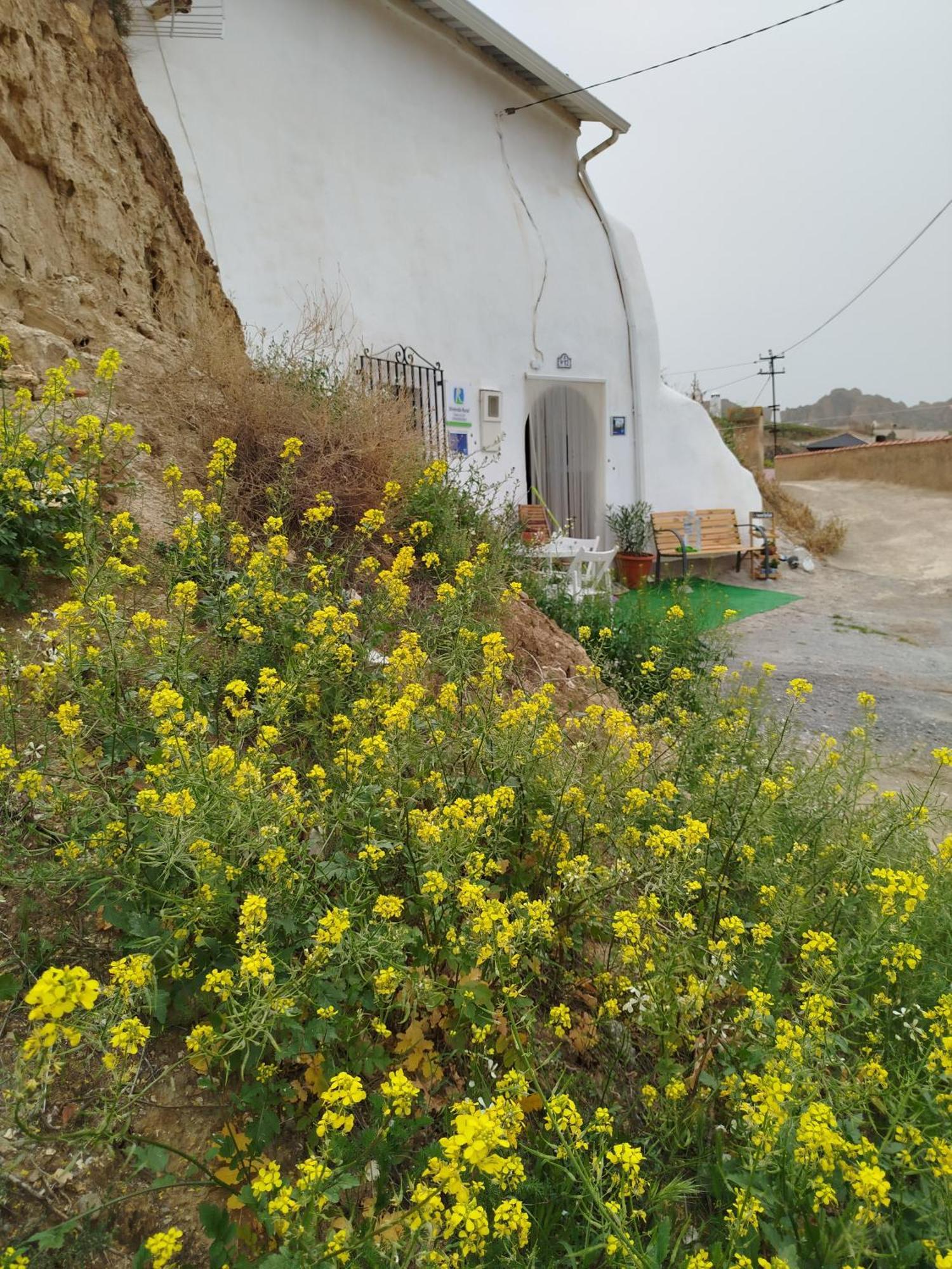 Cueva La Loli Villa Guadix Bagian luar foto