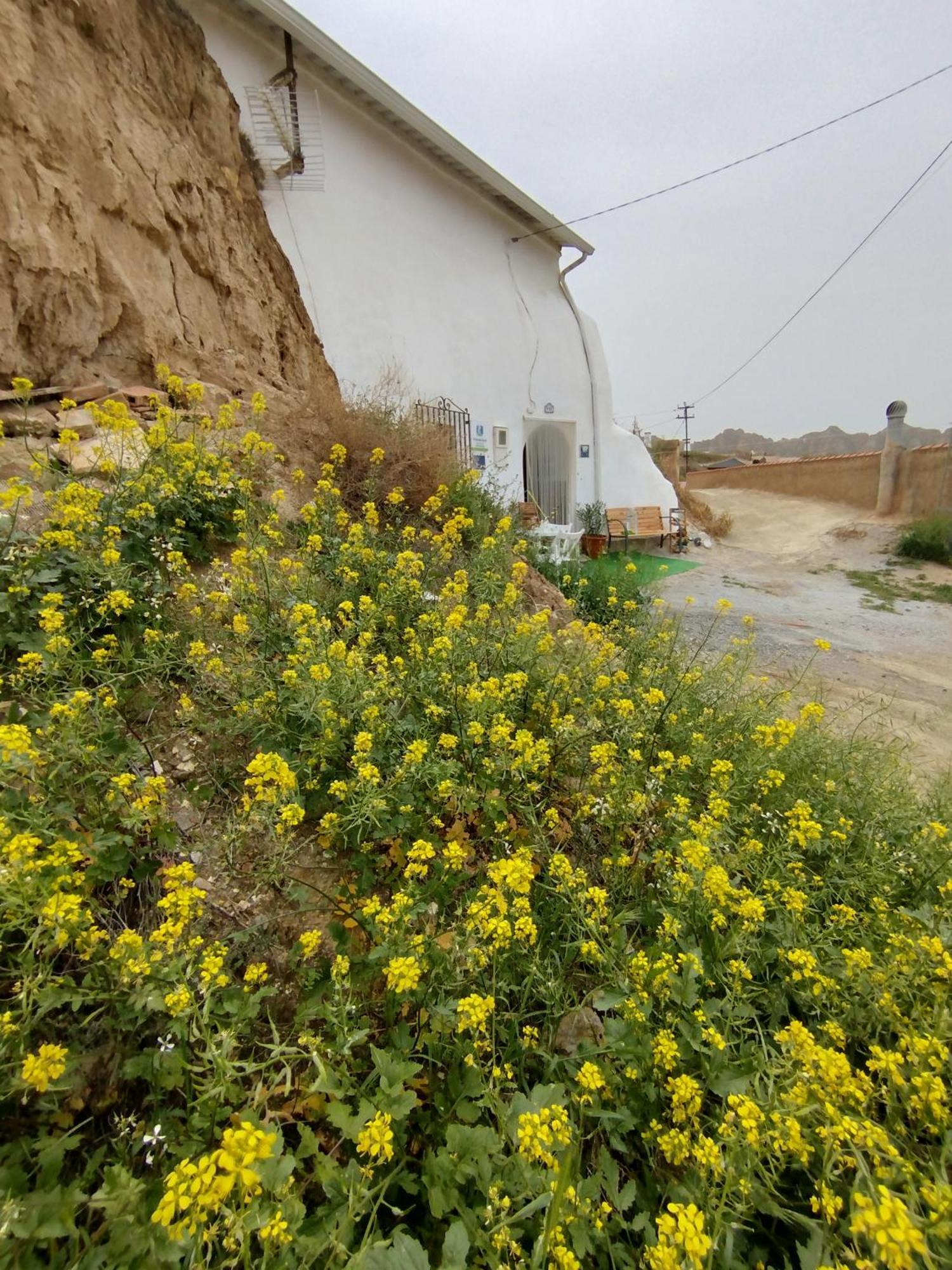 Cueva La Loli Villa Guadix Bagian luar foto