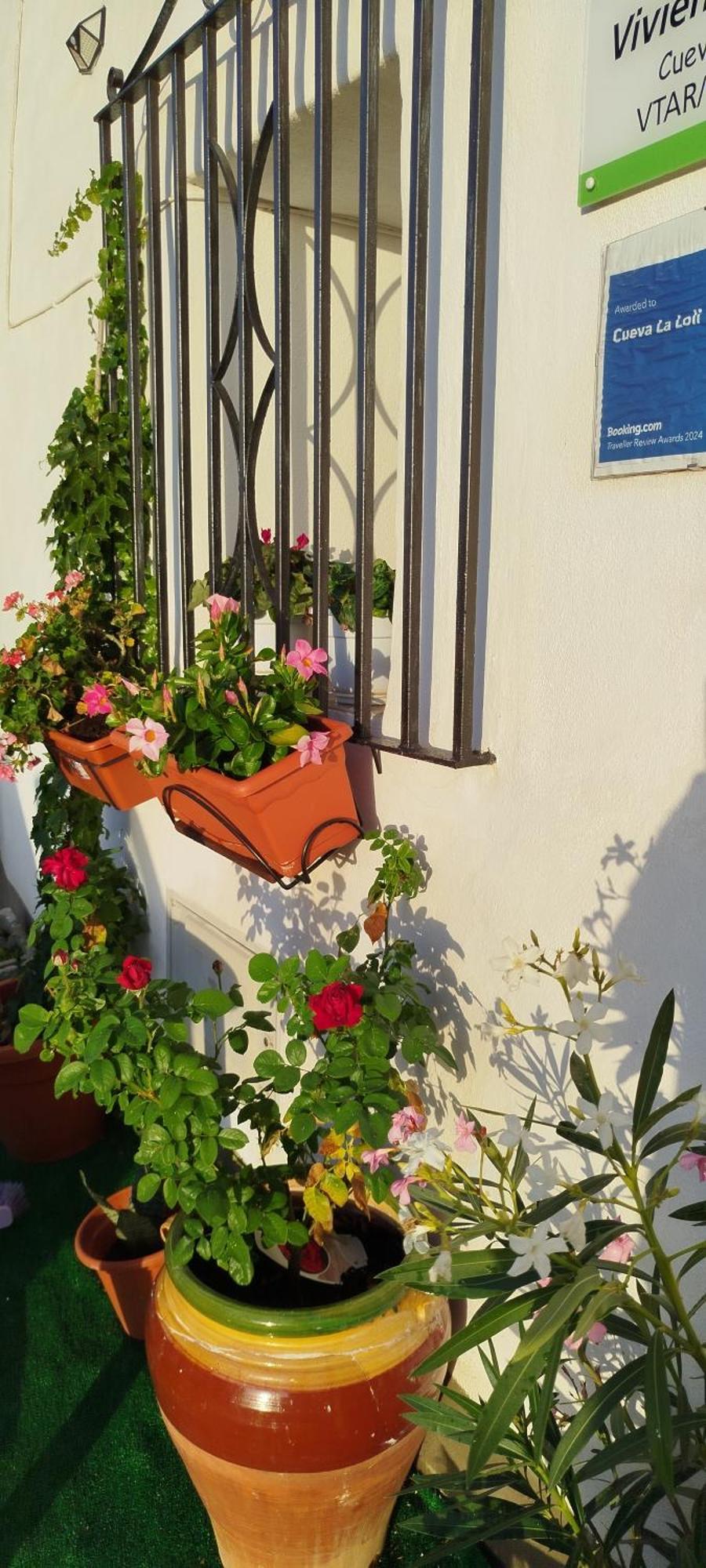 Cueva La Loli Villa Guadix Bagian luar foto